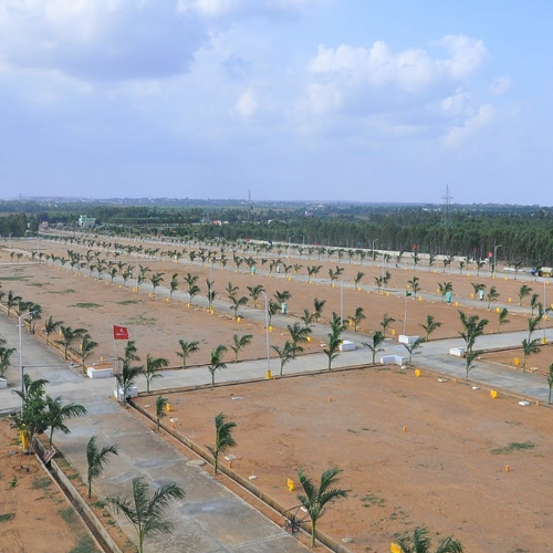 5000 S.Y. Rs. 8,000/- Per Sqrd Land Convented Land 143